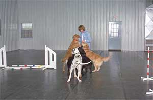 Rubber Dog Crate Mat  Order a Rubber Mat for Dog Crate Flooring