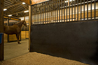 horse wall guard