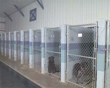 Mats for dog clearance kennels